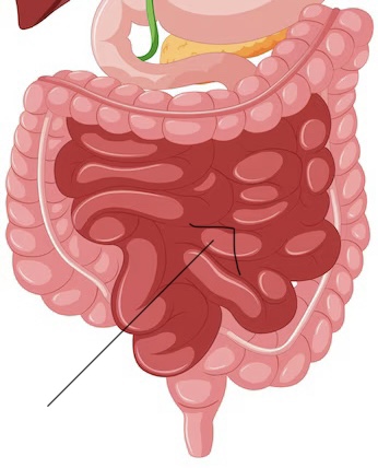 imagen de: freepik.es