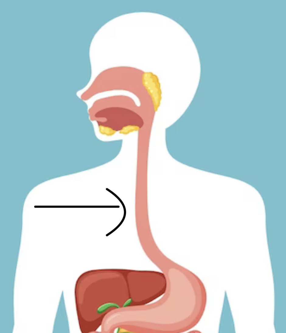 imagen de: freepik.es