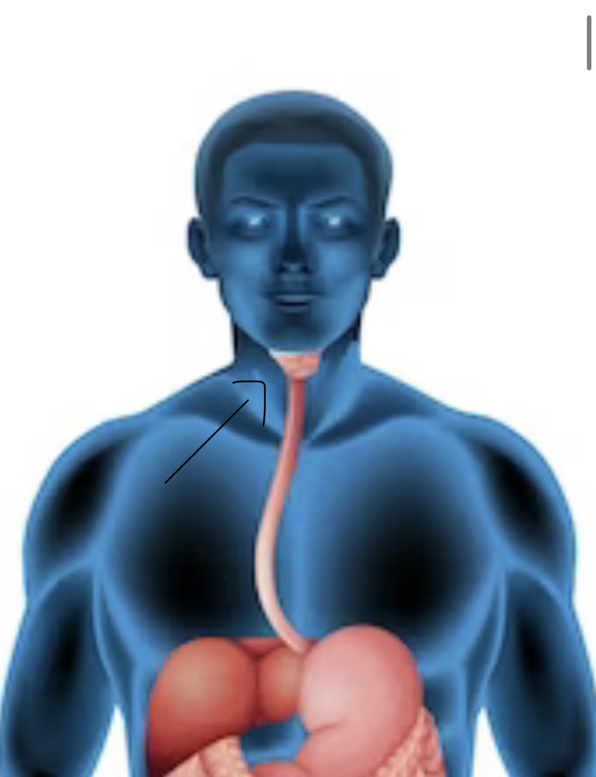 imagen de: freepik.es